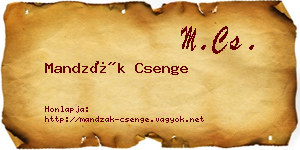 Mandzák Csenge névjegykártya